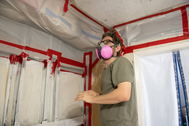 Trusted Fargo, ND Mold Inspection, Removal & Remediation Experts